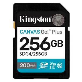 Paměťová karta Kingston SDXC 256GB U3 UHS-I (200R/160W) 
