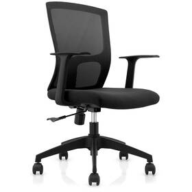 Kancelářská židle Connect IT ForHealth BetaPro (COC-1030-BK) černá