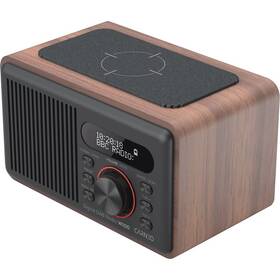 Radiopřijímač s DAB+ Carneo W100 hnědá barva
