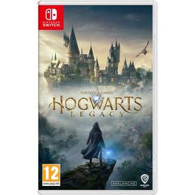 Hra Warner Bros Nintendo SWITCH Hogwarts Legacy (Code in a box) (5051895414910)