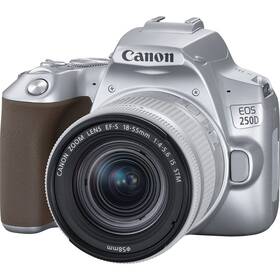 Digitální fotoaparát Canon EOS 250D + 18-55 IS STM (3461C001) stříbrný