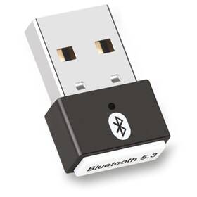 Bluetooth WG Mini Bluetooth 5.3 černá barva
