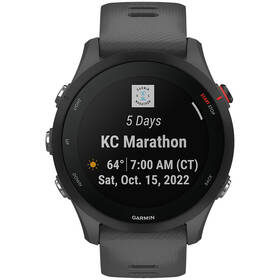 Chytré hodinky Garmin Forerunner 255 šedá barva
