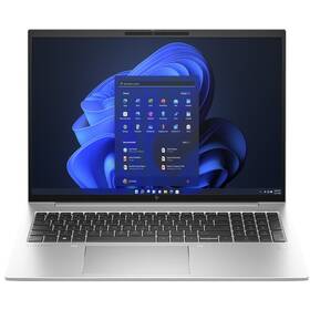 Notebook HP EliteBook 865 G10 (8A419EA#BCM) stříbrný
