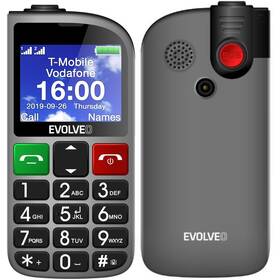 Mobilní telefon Evolveo EasyPhone FM (EP-800-FMS) stříbrný