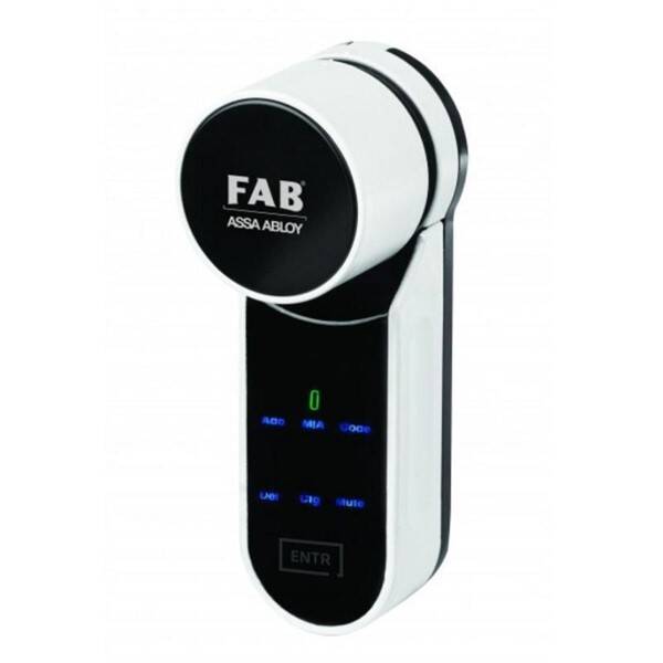  FAB  
