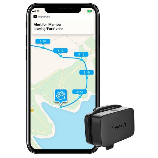 GPS lokátor Invoxia Pet Tracker pro zvířata 

