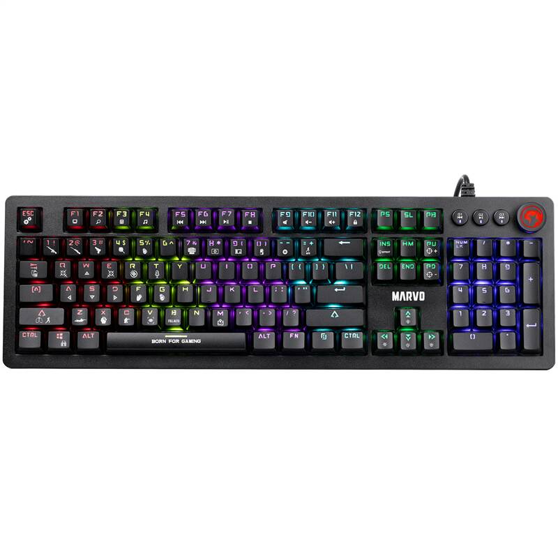 [product_4807922.jpg]