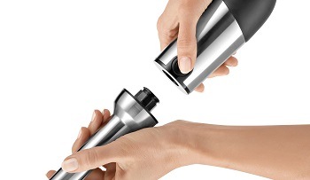 Bosch MS8CM61X1 MaxoMixx