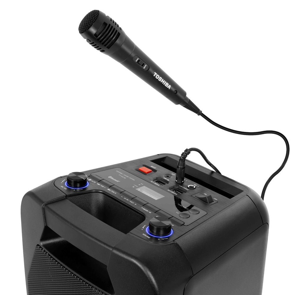 Toshiba TY-ASC66
