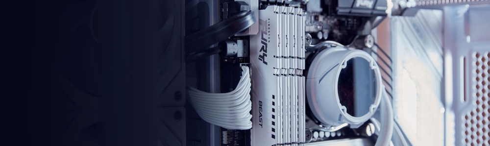 DIMM Kingston FURY Beast White EXPO 32 GB (1× 32 GB) (KF560C30BWE-32)