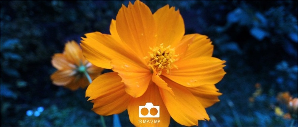 Fotografie s rozostřeným pozadím (bokeh efekt), vytvořená smartphonem Sony Xperia L3