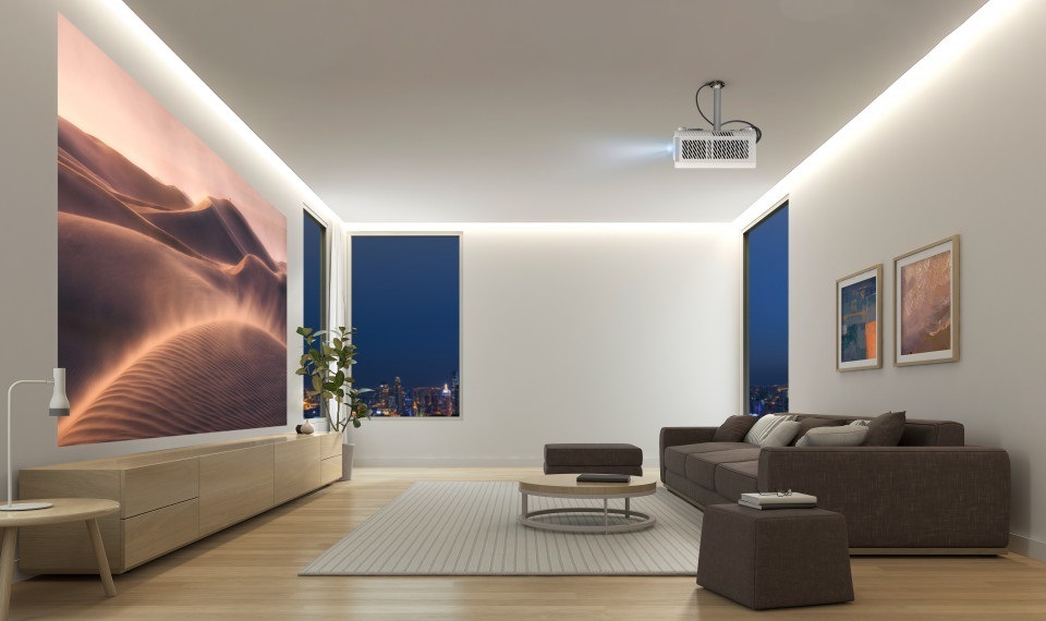 ViewSonic X1