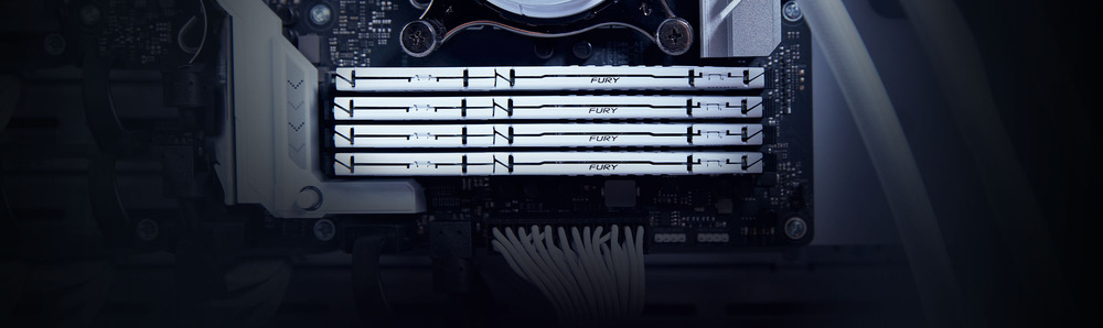 DIMM Kingston FURY Beast White EXPO 32 GB (1× 32 GB) (KF560C30BWE-32)