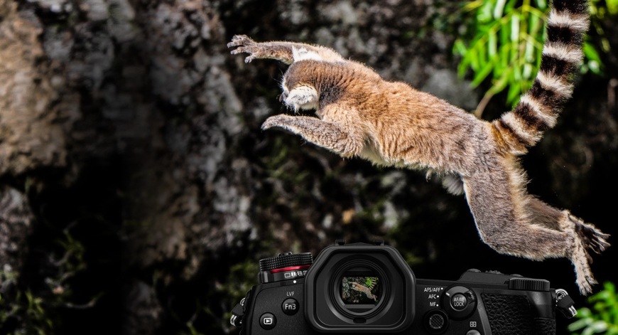 Panasonic Lumix DC-G9 + 12–60 mm, černá
