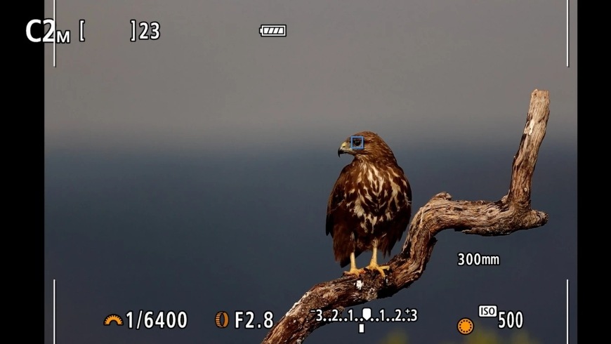 Canon EOS R7, černá