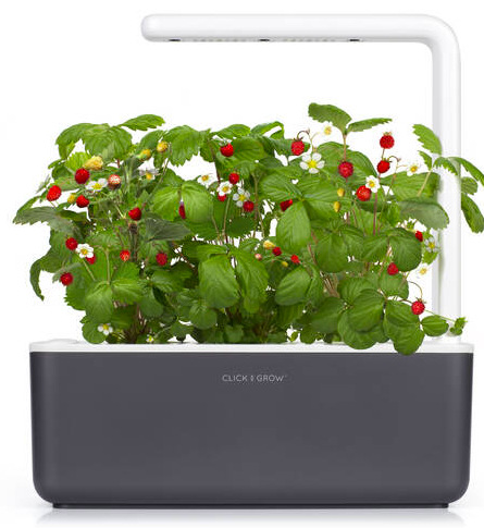 Chytrý květináč Click and Grow Smart Garden 3 - šedý