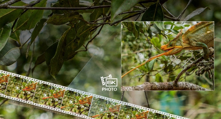 Panasonic Lumix DC-G9 + 12–60 mm, černá