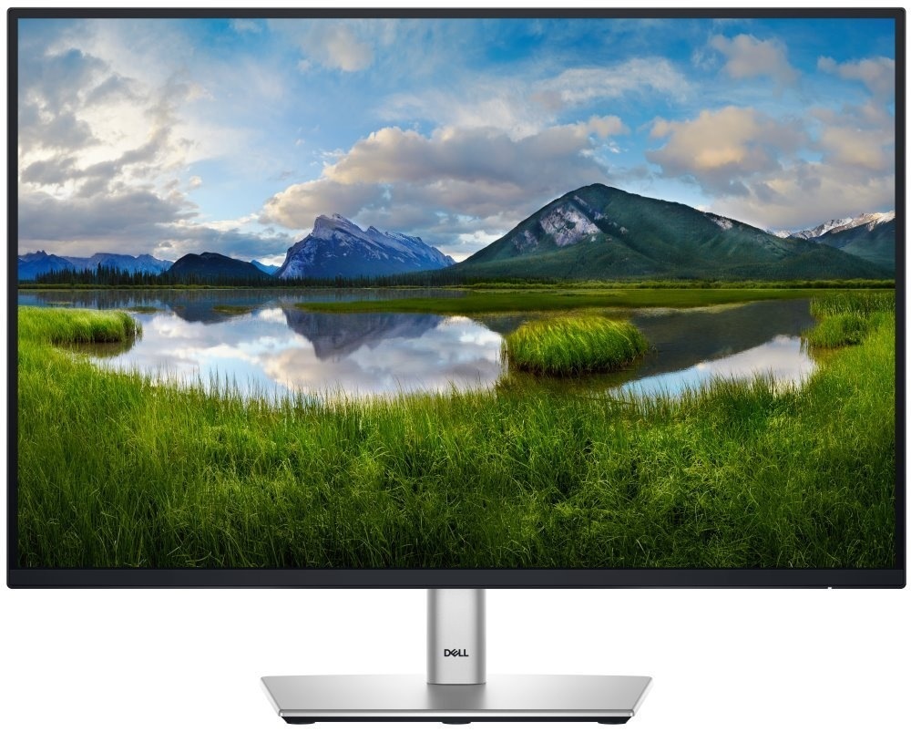 Dell Professional P2425E