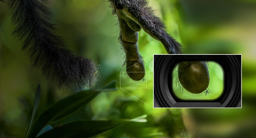 Panasonic Lumix DC-G9 + 12–60 mm, černá