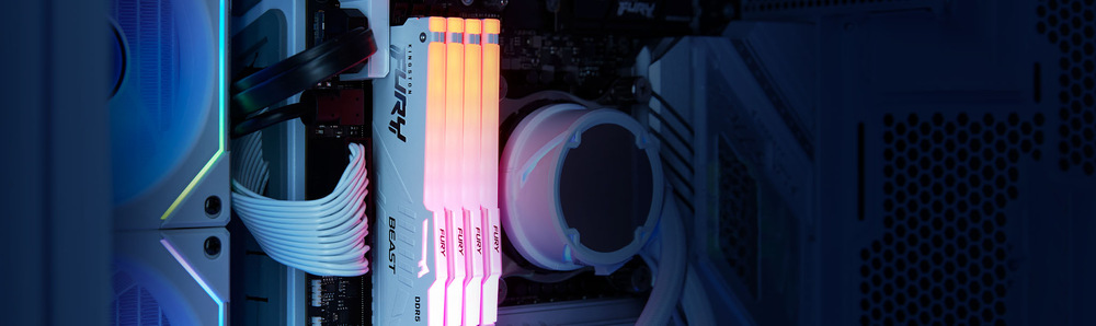 DIMM Kingston FURY Beast Black RGB EXPO 64 GB (2× 32 GB) (KF560C30BBEA2-64)