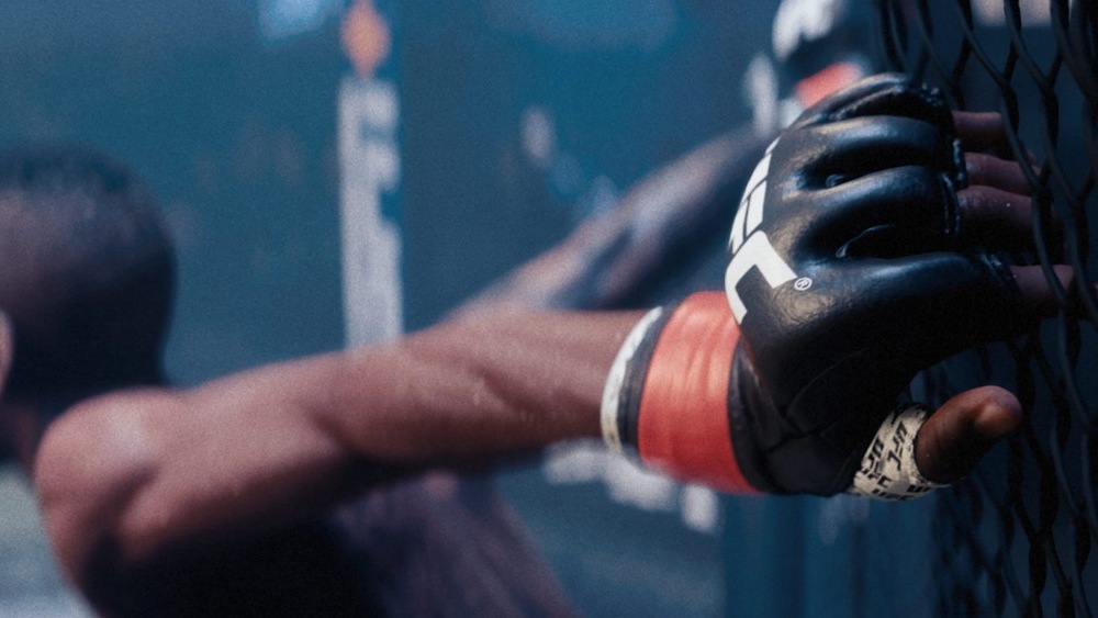 UFC 5 – elektronická licence, Xbox Series X|S