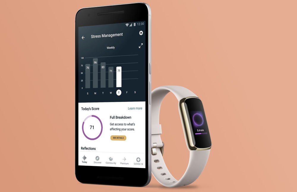 Fitbit Luxe Special Edition