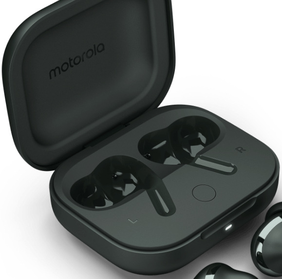 Motorola Moto Buds+ (Sound by BOSE), Forest Grey