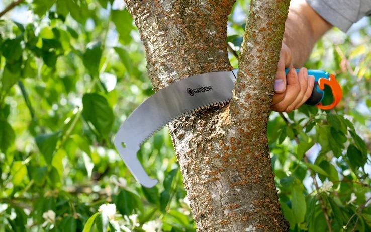 Pilka Gardena 8738