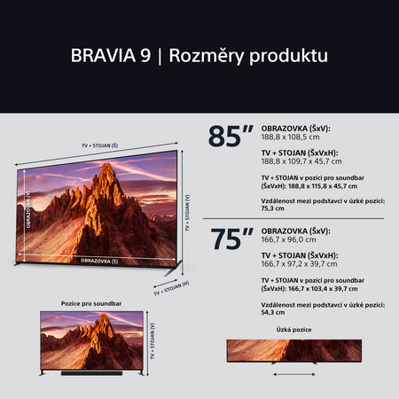 Televize Sony Bravia 9 85"