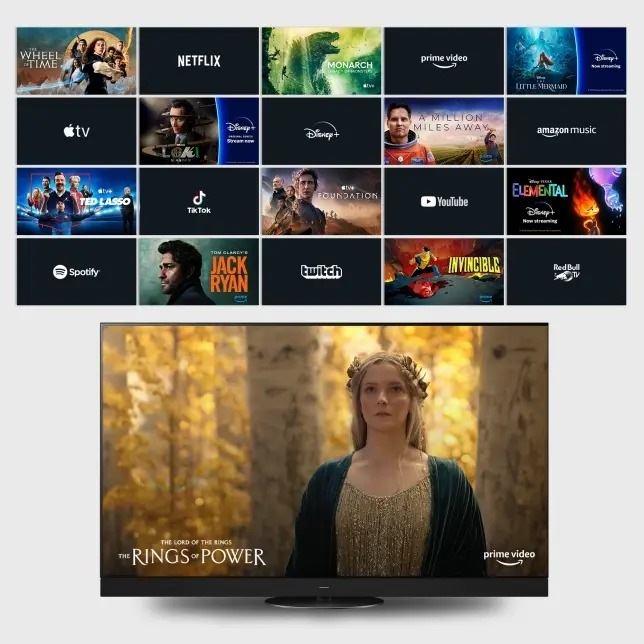 Panasonic TV-75W95A