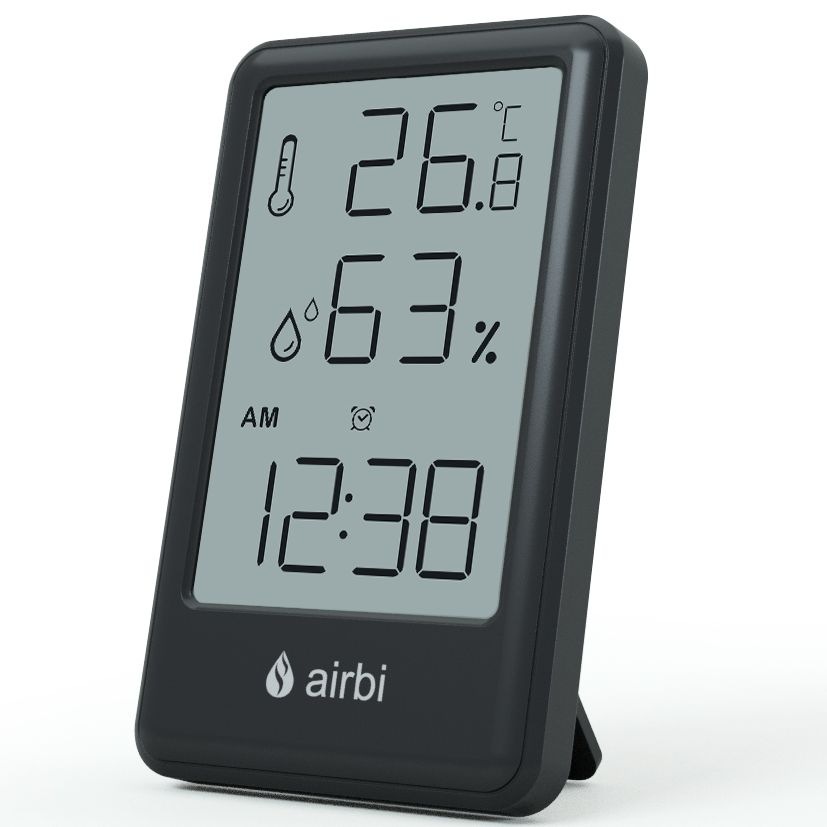 Teploměr s vlhkoměrem Airbi Frame, černý
