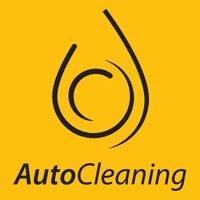 Auto Cleaning