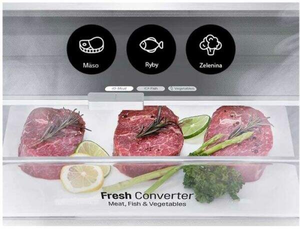 Chladnička komb. LG GBP62SWNCN1, fresh converter
