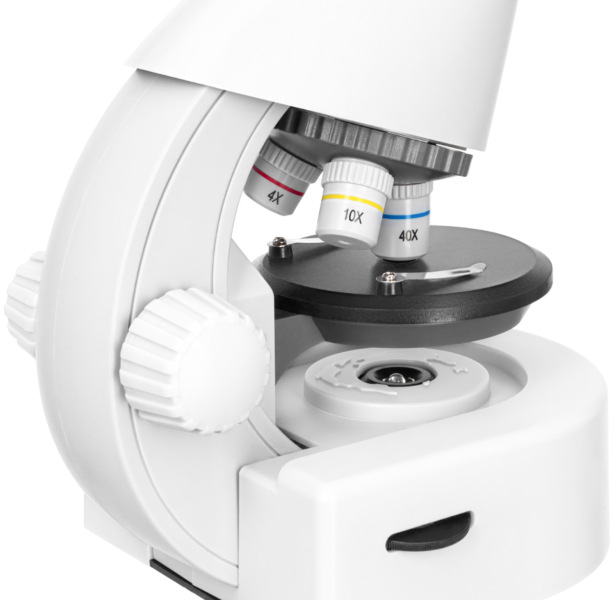 Discovery Micro Polar