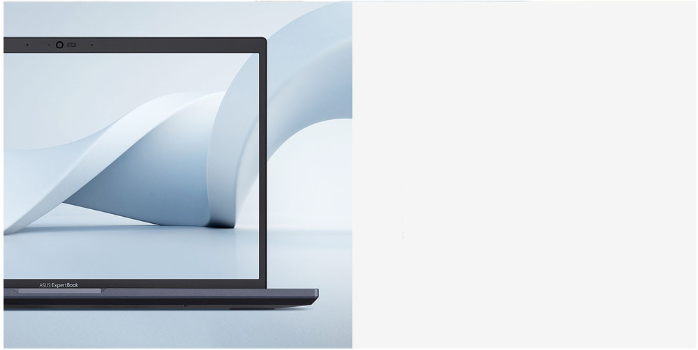 Asus ExpertBook L2