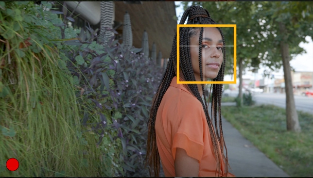 LUMIX S 20–60 mm f/3.5–5.6