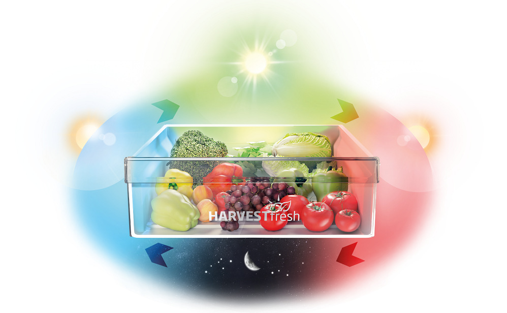 Chladnička kombinovaná Beko BCNE400E50SHN, NoFrost vestavná, chytrá přihrádka HarvestFresh