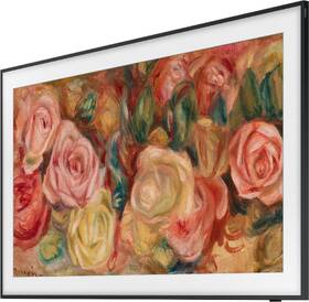 Televize Samsung QE55LS03D 
