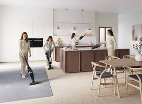 Tyčový vysavač Electrolux WQ71-50IB 
