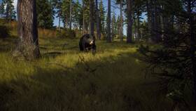Hra THQ Nordic PlayStation 5 Way of the Hunter 
