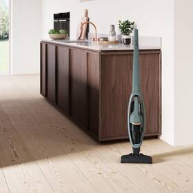 Tyčový vysavač Electrolux WQ61-40OG 
