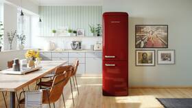 Chladnička s mrazničkou Gorenje ONRK619DR 
