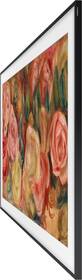 Televize Samsung QE55LS03D 
