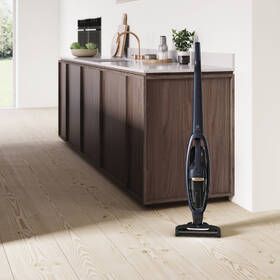 Tyčový vysavač Electrolux WQ71-50IB 
