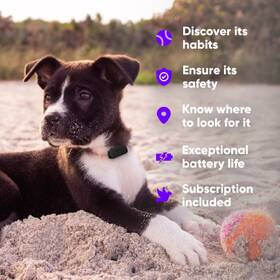 GPS lokátor Invoxia Pet Tracker pro zvířata 
