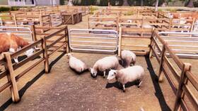 Hra SOEDESCO PS4 Real Farm 
