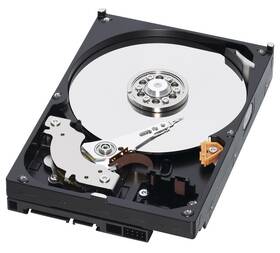 Pevný disk 3,5" Western Digital 500GB 
