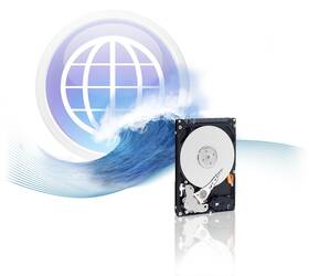 Pevný disk 2,5" Western Digital 250GB 
