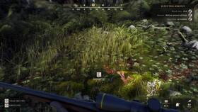 Hra THQ Nordic PlayStation 5 Way of the Hunter 
